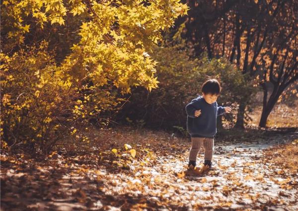 父母需要控制的不是孩子，而是自己那顆放不下的心