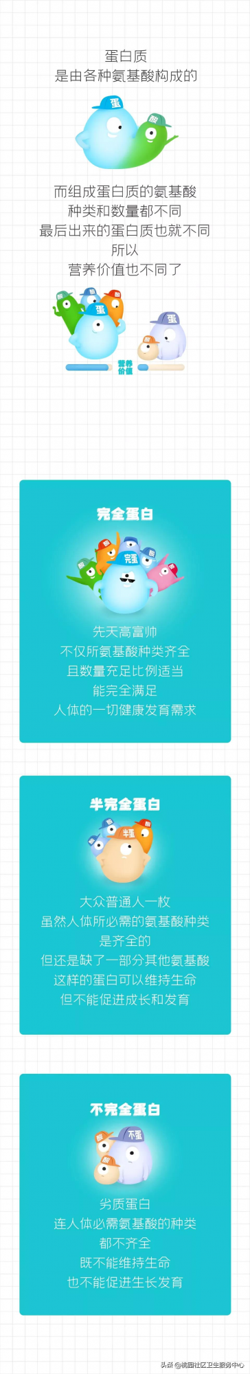 老年人的一份蛋白質“食用說明書”