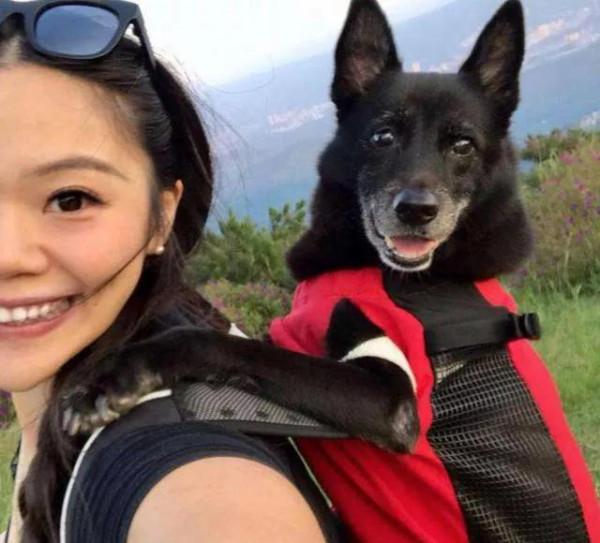 1968年，雄性黑熊突然扛走女獸醫，她經歷了什麼？