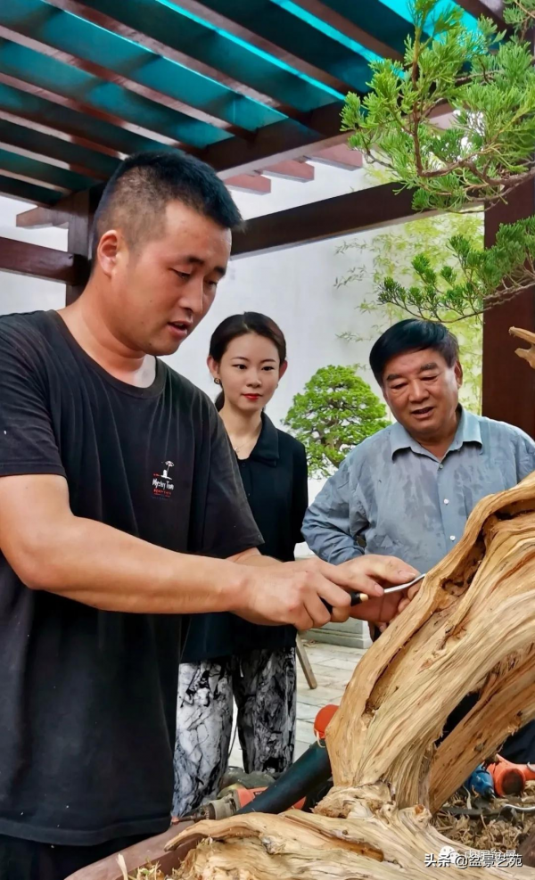 老樹閒看百鳥歸——訪著名盆景藝術家曹志振先生
