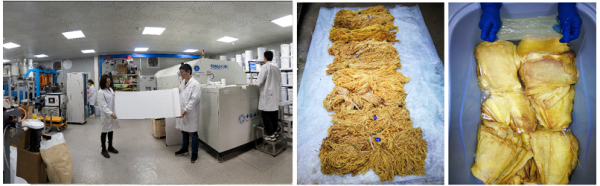 海水提鈾有多難?我國2021年突破封鎖,未來或將形成全新核威懾 海水提鈾有多難?我國2021年突破封鎖,未來或將形成全新核威懾