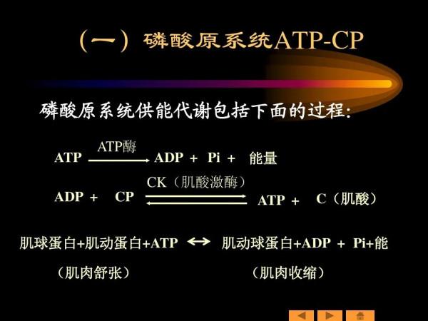 有氧運動代謝能力有壞處？