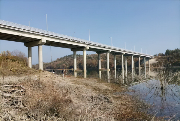 長竿短線釣野河，鯽魚一條接一條