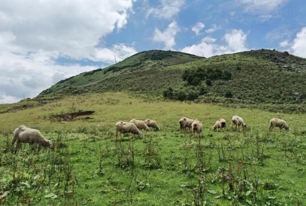 號稱雲南的小紐西蘭,小眾露營地——麼波衝 號稱雲南的小紐西蘭,小眾露營地——麼波衝