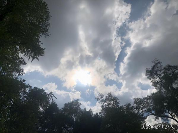 後日冬朔日，俗話說：“冬月初一晴，單衣過寒冬”，今年是暖冬嗎