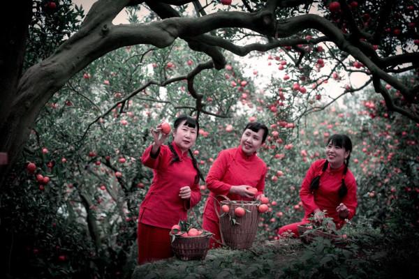 橘子紅了的時候 橘子紅了的時候