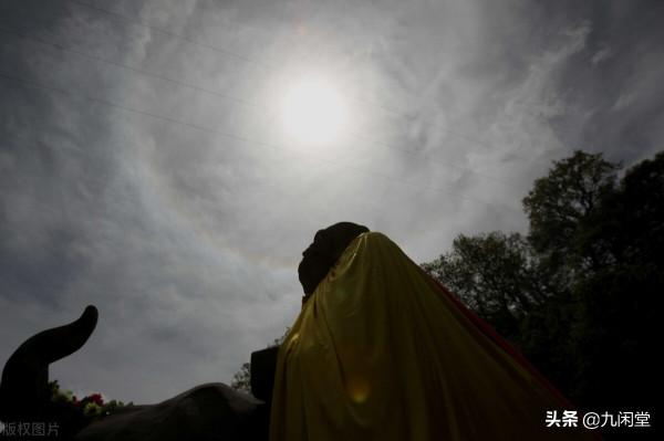 生之易經：到馬功成（大畜）