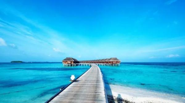 結婚時的願望什麼時候能實現 結婚時的願望什麼時候能實現