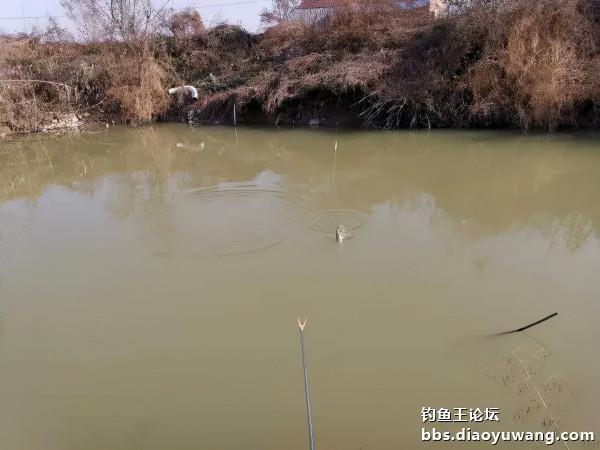 速凍模式，也能瀟灑走一回