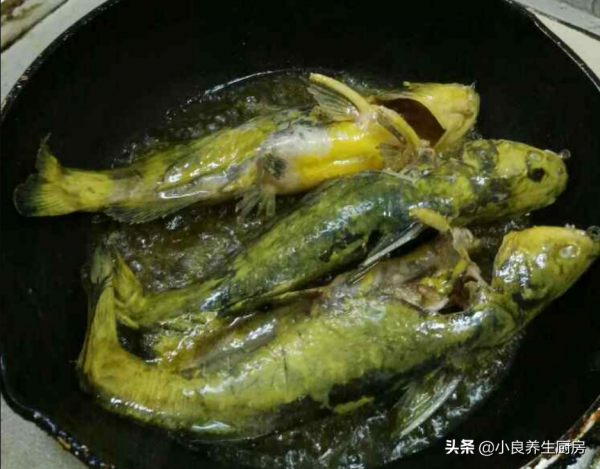 初冬到,遇到這魚別手軟,我家隔2天吃一回,肉肥刺少湯汁鮮 初冬到,遇到這魚別手軟,我家隔2天吃一回,肉肥刺少湯汁鮮