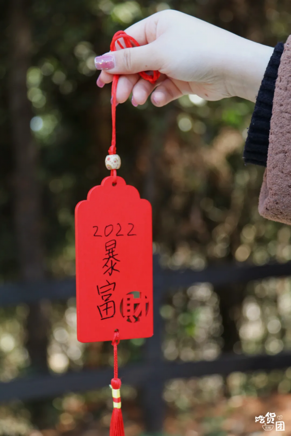 春節嗨玩預警！雲南野生動物園&OpenCurlyDoubleQuote;萌虎&rdquo;陪你賀新年，2022虎虎生威