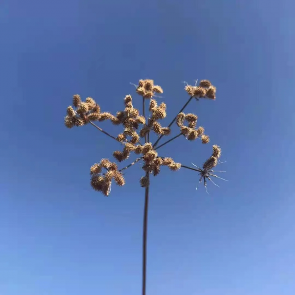 “人過六十，六不想”，指的是什麼？看完就知道古人智慧有多高了