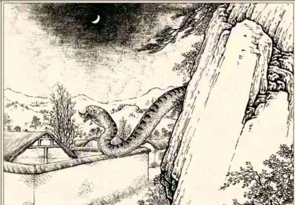 民間故事：村民打井遇蛇窩，遭蛇王報復，老人引100多隻蛇雕滅蛇