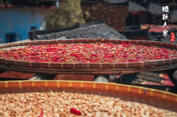 12月必去的7個古鎮,每一個都美到不想離開,閒了就去小住幾日吧 12月必去的7個古鎮,每一個都美到不想離開,閒了就去小住幾日吧