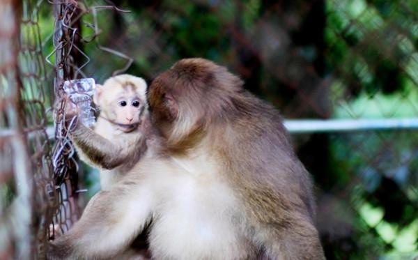 離廣東最近的賞雪地之一，這裡的霧凇年年上熱搜~小週末自駕首選
