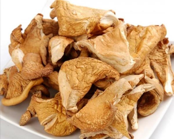 來自東北大山裡的奇珍異寶，你見過吃過幾種，都吃過的是純東北人