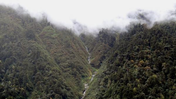 劉桂英：唯一逃出野人山的遠征軍女兵，回憶說：山裡比鬼子更恐怖