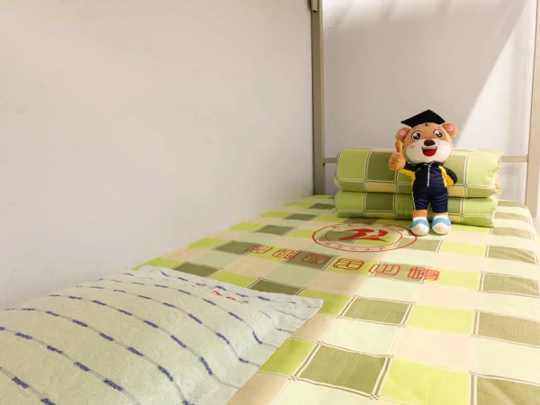 超越虎帶你遊臻園！一起回到夢開始的地方