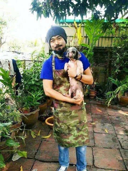 流浪狗被嫌棄是“爛樹根”，被醫生救下治好後：真是個小天使呀