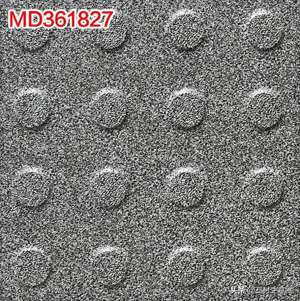 生態地鋪石欣賞