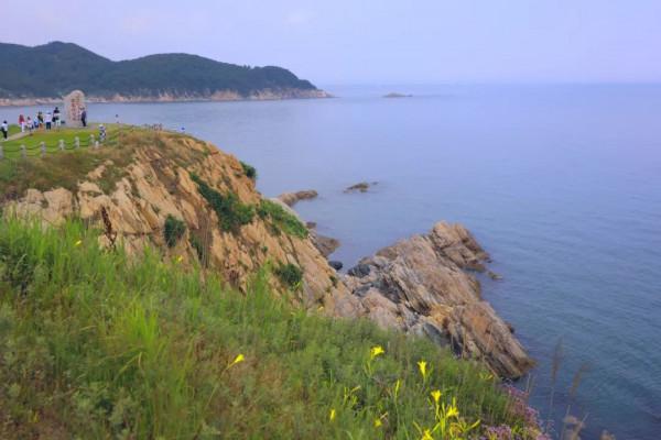 四面環海小島發現200多頭野生梅花鹿！遊客：它們怎麼上去的？