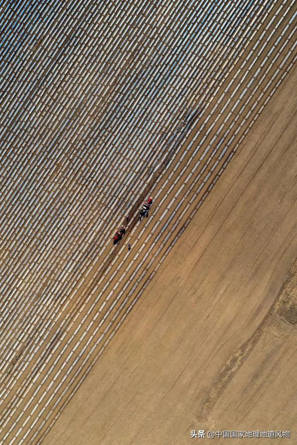 甘肅人的命,都是土豆給的 甘肅人的命,都是土豆給的