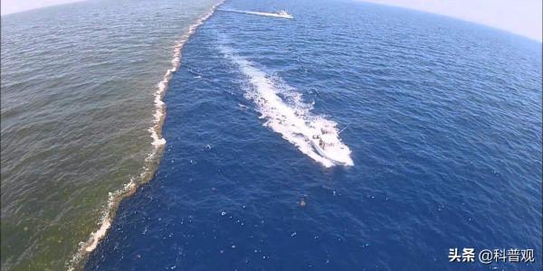 黃海、渤海相鄰卻不相容？分界線兩側顏色分明，背後原因是什麼？