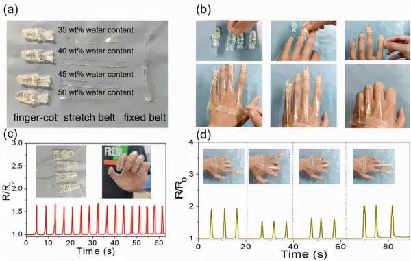 福建農林大在3D光固化列印水凝膠材料和彈性體研究獲系列進展