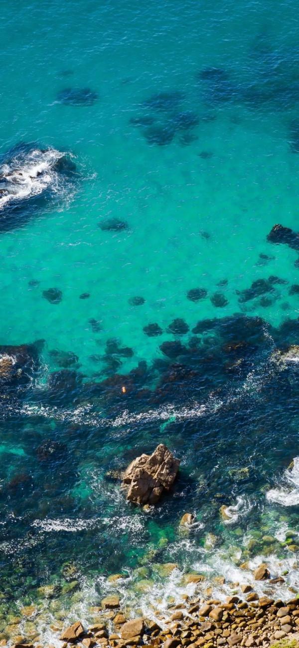 不容錯過的桌布，超好看