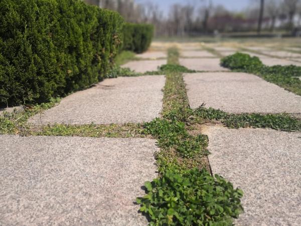 晨霽一週星座運勢11.8-11.14上 晨霽一週星座運勢11.8-11.14上