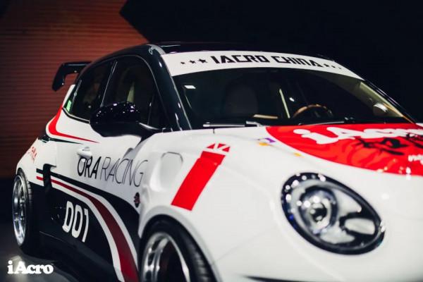 關於好貓“如虎”,你想知道的都在這裡了 關於好貓“如虎”,你想知道的都在這裡了