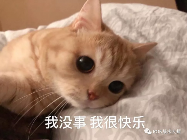 萬國覺醒丨91A VS 28MYSJ覆盤：不要輕視方尖碑的攻防