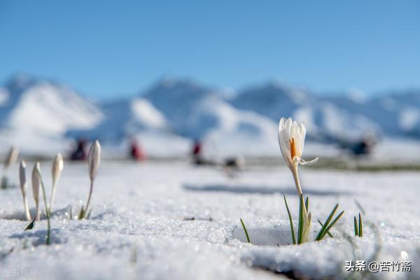 農村老人為何冬天去世的會相對多一些呢 農村老人為何冬天去世的會相對多一些呢