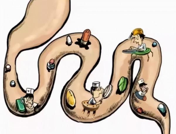 便秘了,吃香蕉就行?如果效果不好,不妨試試這三樣食物 便秘了,吃香蕉就行?如果效果不好,不妨試試這三樣食物