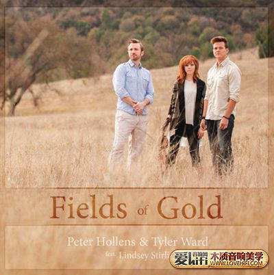 千挑萬選，我的HIFI系統組建經歷