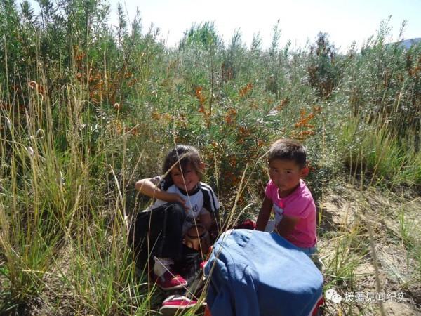 新疆哈薩克族婚嫁風俗飽含對生命的愛護與敬畏