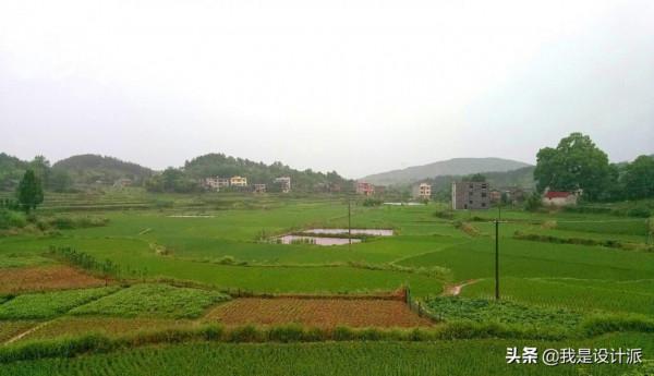 我的村子——桐木塘 我的村子——桐木塘