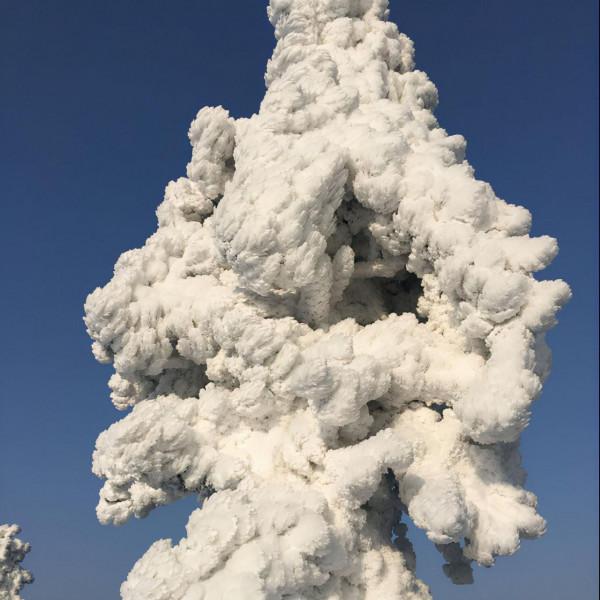 離廣東最近的賞雪地之一，這裡的霧凇年年上熱搜~小週末自駕首選