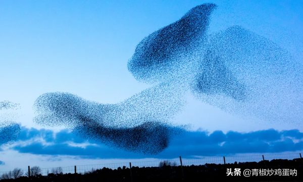 20 種方法,讓走路成為最好的鍛鍊 20 種方法,讓走路成為最好的鍛鍊
