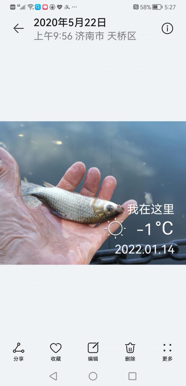 五個小時半碗淚水感動了水裡的精靈