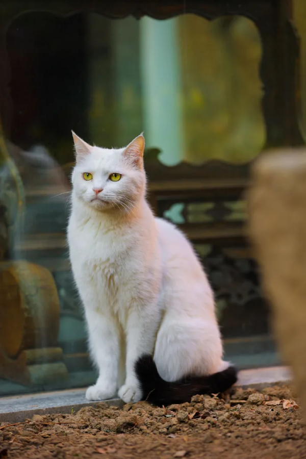 生命不能承受之…重