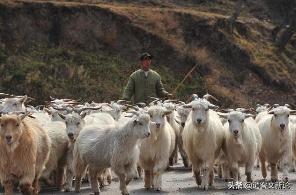 甘肅牧羊人進山洞躲雨,意外發現3000年前西周水壺,裡面裝有美酒 甘肅牧羊人進山洞躲雨,意外發現3000年前西周水壺,裡面裝有美酒