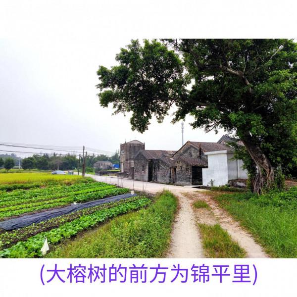 隨遇2021 ~ 台山，失落的繁華19