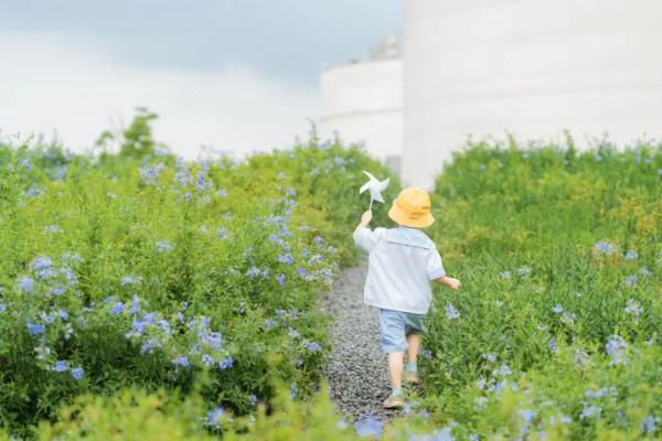 我想告訴男孩的父母,其實“開竅晚”也是好事 我想告訴男孩的父母,其實“開竅晚”也是好事