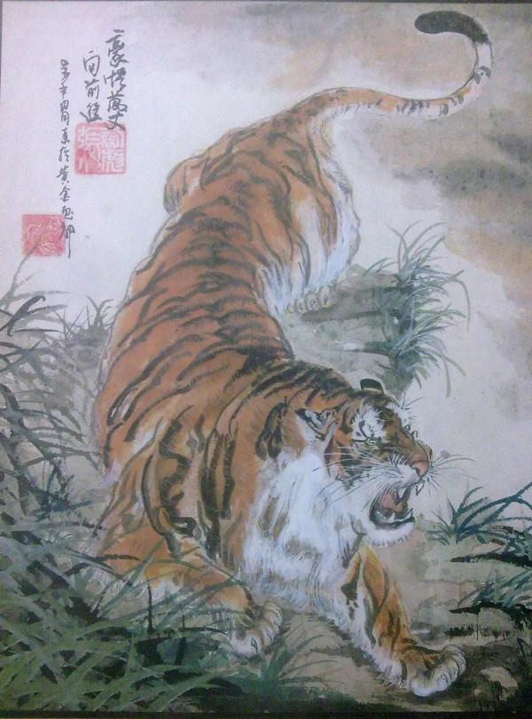 收藏老虎圖