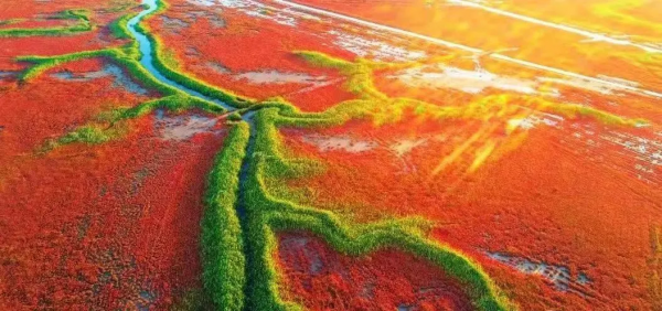 這裡畫了個圈!黃河口國家公園總體規劃圖官宣 這裡畫了個圈!黃河口國家公園總體規劃圖官宣