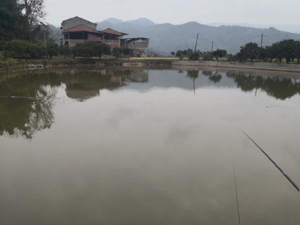 春節釣魚有鯽也有鯉，大吉大利&hellip;&hellip;