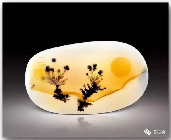 海底精靈（上）