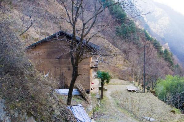 這棟秦嶺老房子牆體顏色很少見，原以為是光線原因，後來發現錯了