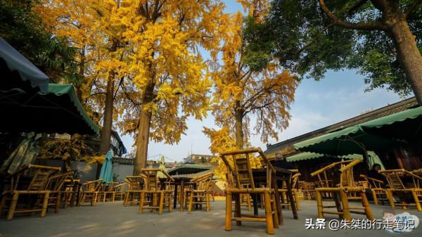 打卡成都幾處公園 有的是四川最早開辦的 有的是當地唯一五星級公園